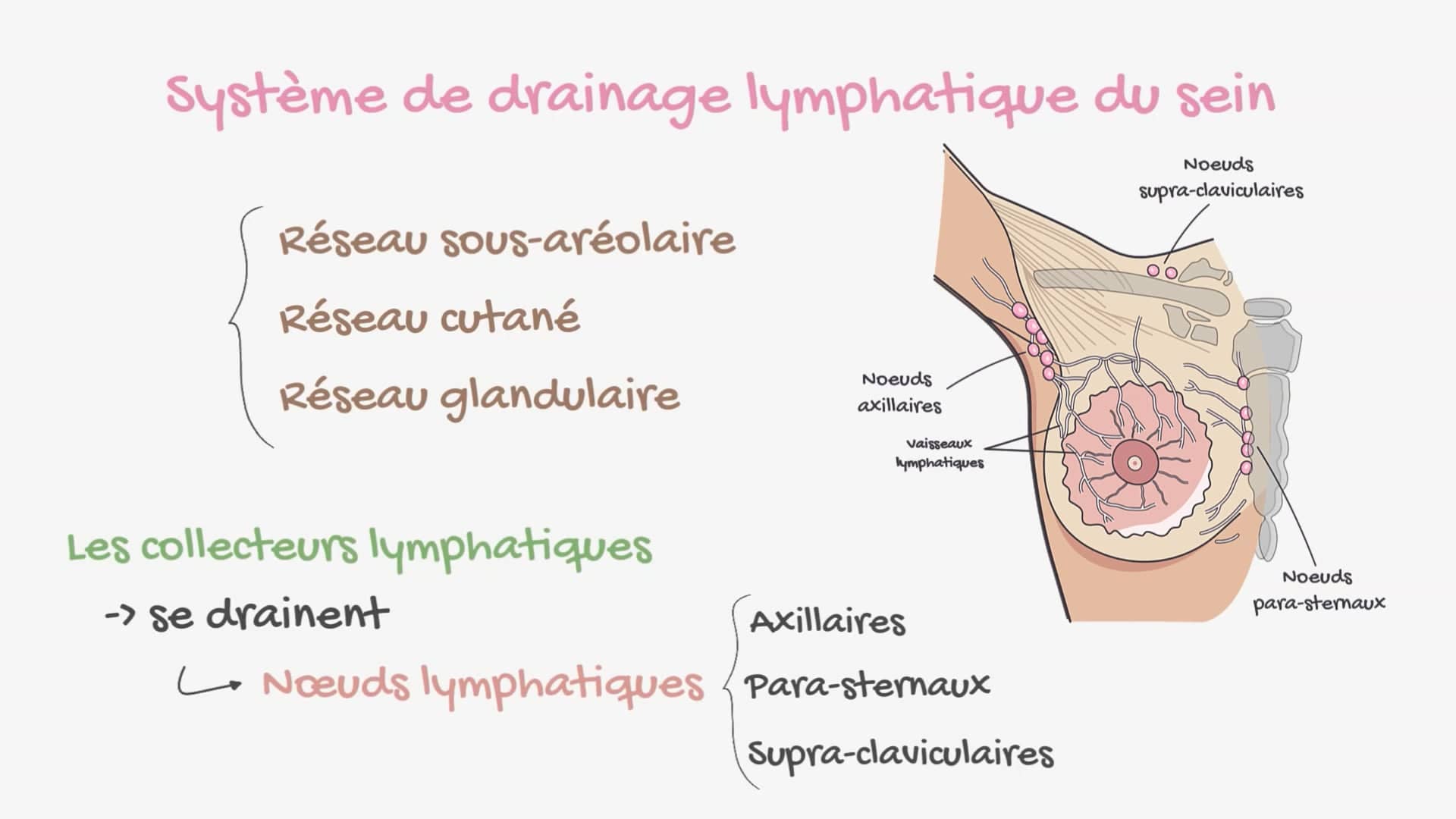 Drainage lymphatique, anatomie-pathologie et extension du cancer du sein