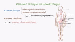 Examen clinique en hématologie