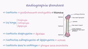 La radiographie ostéoarticulaire