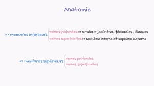 Sémiologie veineuse périphérique