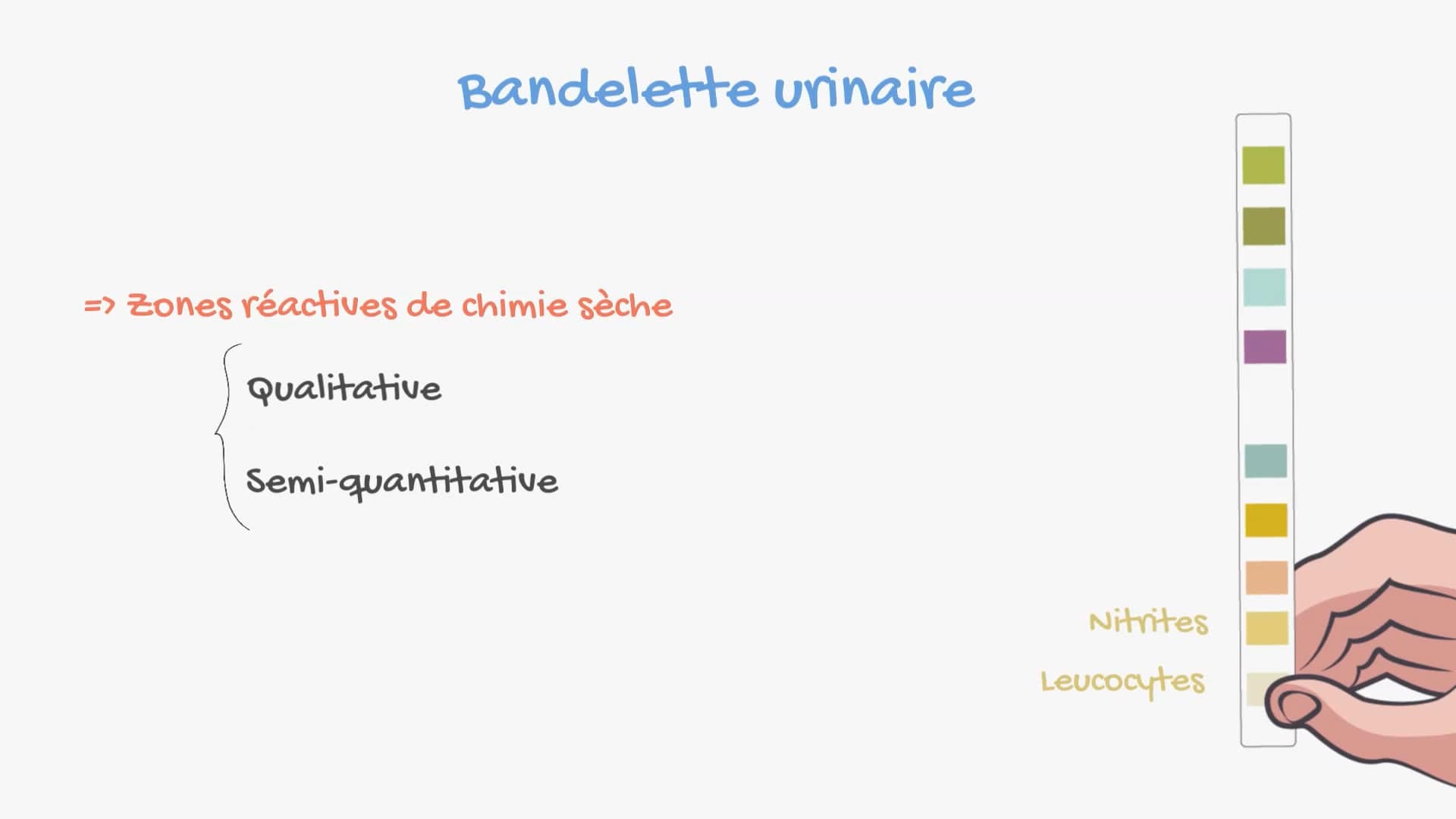 Geste pratique Bandelette urinaire Meducol